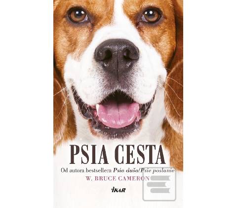 Psia cesta