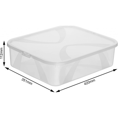 Rotho Lona úložný box s víkem 12 l transparentní 42 x 35 x 11 cm