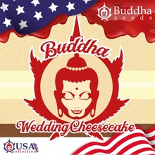 Buddha Seeds Buddha Wedding Cheesecake semena neobsahují THC 5 ks