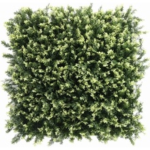 THUJA VG, dílec 50 x 50 cm
