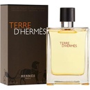 Hermès Terre D'Hermes EDT 100 ml