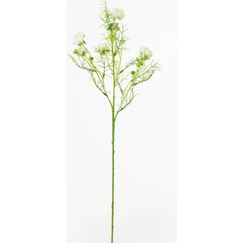 KS RANUNCULUS KRÉM 74CM