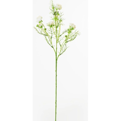 KS RANUNCULUS KRÉM 74CM
