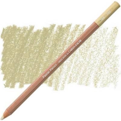Caran d´Ache suchý pastel v tužce 732 brown olive