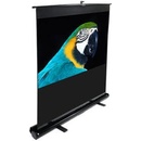 Elite Screens 100,1 x 177,8cm F80NWH