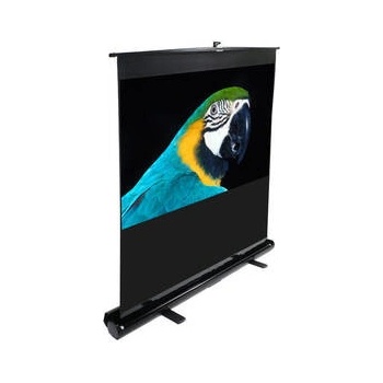 Elite Screens 100,1 x 177,8cm F80NWH