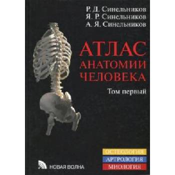 Атлас анатомии человека. В 4-х томах. Том 1. Учение о костях, соединениях костей и мышцах. Остеология. Артрология. Миология | Рафаил Синельников, Яков Синельников, Александр Синельников