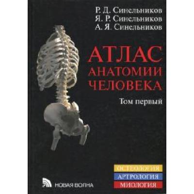 Атлас анатомии человека. В 4-х томах. Том 1. Учение о костях, соединениях костей и мышцах. Остеология. Артрология. Миология | Рафаил Синельников, Яков Синельников, Александр Синельников