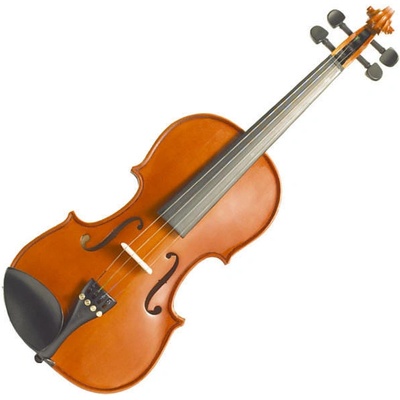 Ako vybrať husle?
