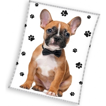 Tiptrade Detská mikroplyšová deka Francúzsky Buldoček Elegán