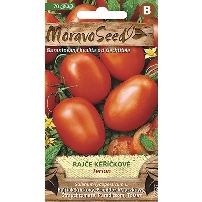 Paradajka kríčková TERION oválna MoravoSeed