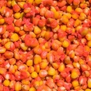 LK Baits Partikl IQ Method Feeder Corn 1kg Cherry
