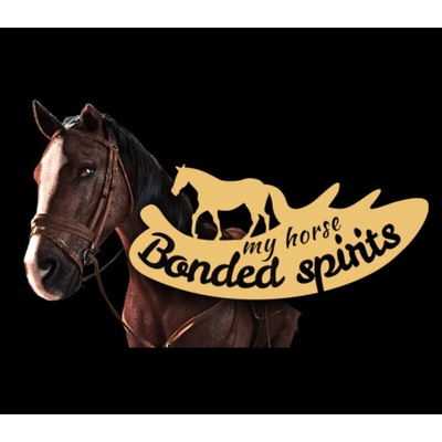 My Horse: Bonded Spirits