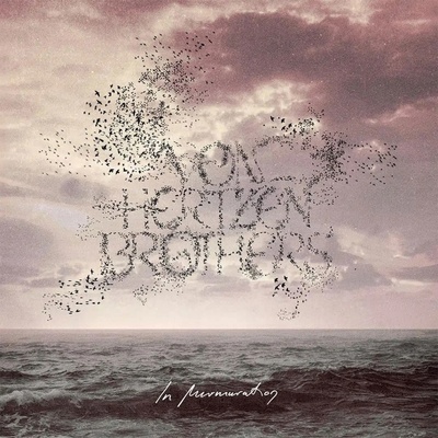 Von Hertzen Brothers In Murmuration CD
