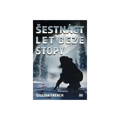 Šestnáct let beze stopy - French Gillian
