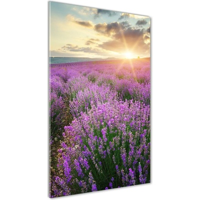 Vertikálny foto obraz sklenený Pole levanduľe 50x100 cm
