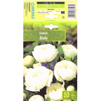 Seklos Лютиче Бяло Ranunculus - 10 бр луковици