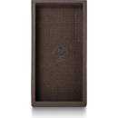 Astell&Kern PD10