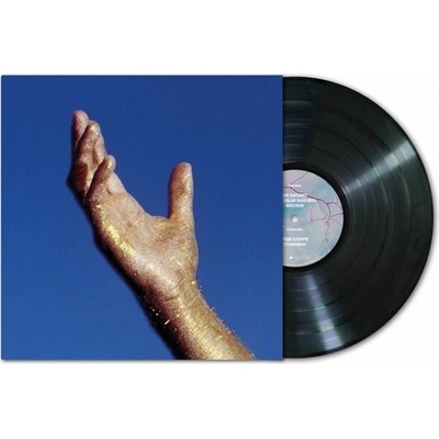 Radicant - WE ASCEND Vinyl