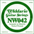D'Addario NW 042