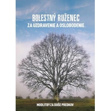 Bolestný ruženec za uzdravenie a oslobodenie - Mária Vicenová