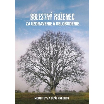 Bolestný ruženec za uzdravenie a oslobodenie - Mária Vicenová