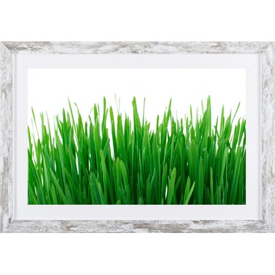 Bondecor Obraz v moderním rámu Green 37 x 53 cm