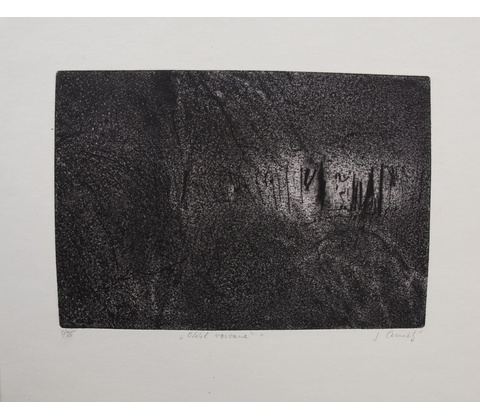 Jiří Černický - Otisk vorvaně