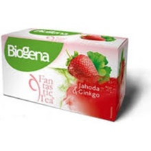 Biogena Fantastic Tea Jahoda & Ginkgo 20 x 2 g