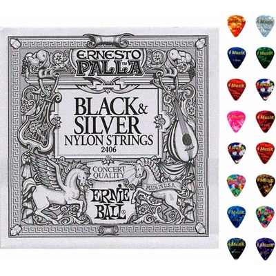 Ernie Ball 2406