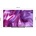 Haier H55S80GUX