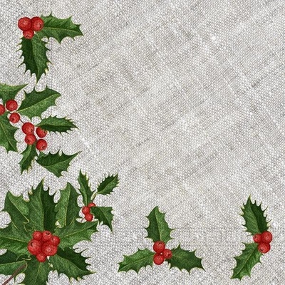 Procos Vánoční papírové ubrousky 3V větvičky 33x33cm – Hledejceny.cz