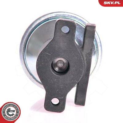AGR-Ventil ESEN SKV 14SKV005