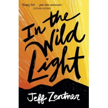 In the Wild Light - Jeff Zentner