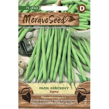 Fazuľa kríčková zelená SIGMA MoravoSeed