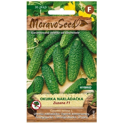 Semínka MoravoSeed Okurka nakládačka hruboostná ZUZANA 25s