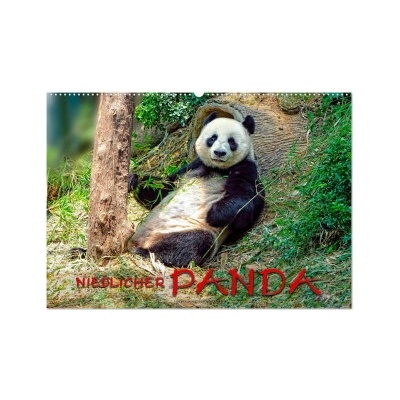 Niedlicher Panda Wand DIN A2 quer, CALVENDO Monats 2024