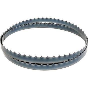 Holzmann Pilový pás pro mokré dřevo 3652X32X0,9 T22 PRO BBS550SMART
