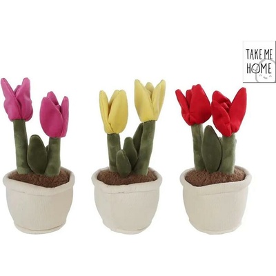 Mikro trading Take Me Home Rostlina pokojová 25 cm
