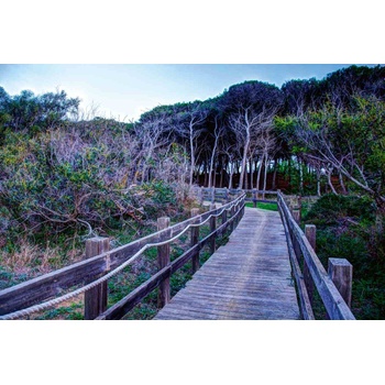 DIMEX ART s. r. o Флизелинов фототапет дървена пътека 375 x 250 см