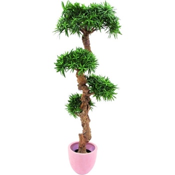 Bonsai palma s 4800 listy 120cm