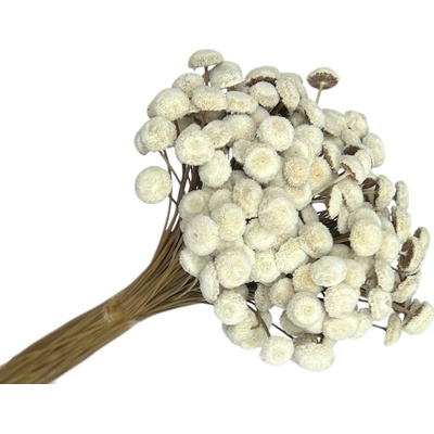 Sušené kvety Botao Amarelino 80g - biele