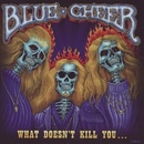 BLUE CHEER: WHAT DOESNT KILL YOU ? CD