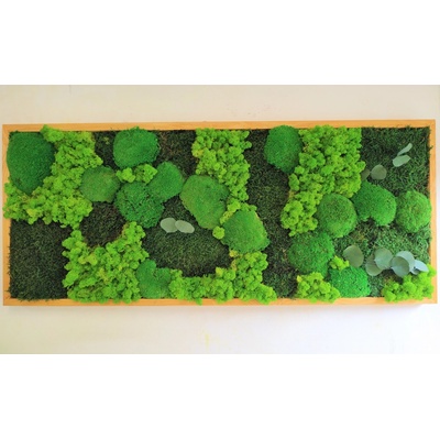 Machový obraz- viacero druhov machu a listy 50cm x 90cm