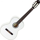 Klasické gitary Ortega R121