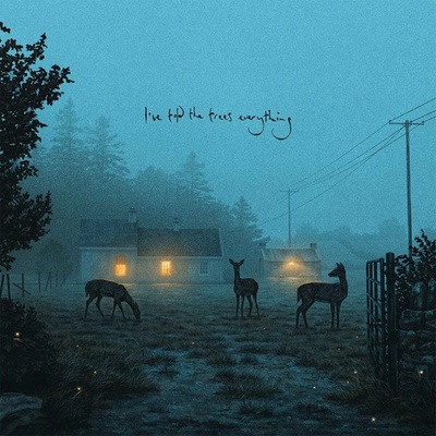 Dermot Kennedy - I've Told The Trees Everything LP