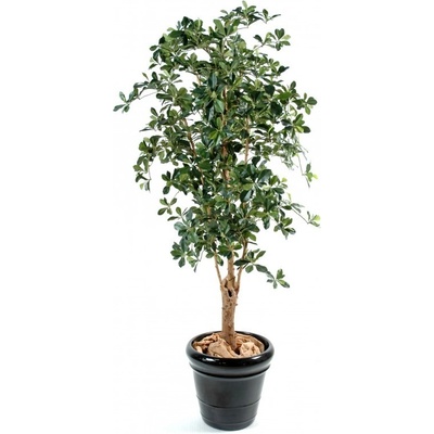 Luxusní umělý strom Ficus Oriental Tnoueux, 180cm