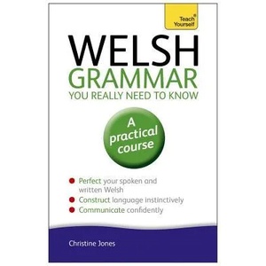 Welsh Grammar You Really Need to Know: Teach Yourself (2014)