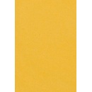 Amscan ubrus papírový 137cm x274cm
