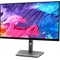 Dell P2422H